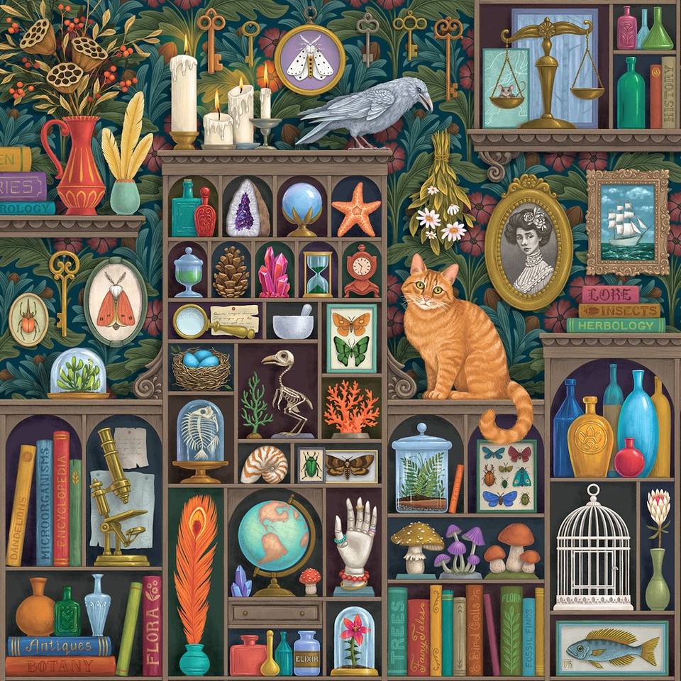 A ilustradora, designer e artista plástica Vasilisa Romanenko, radicada em Connecticut, translumbra o público com sua mistura única de inspiração botânica, história natural e padrões intrincados que lembram tecelagem. 