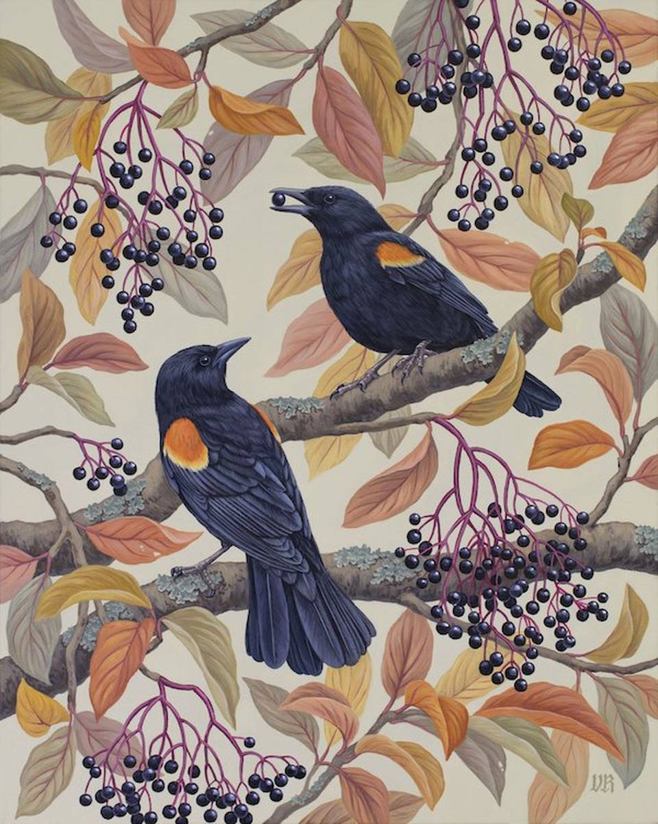 A ilustradora, designer e artista plástica Vasilisa Romanenko, radicada em Connecticut, translumbra o público com sua mistura única de inspiração botânica, história natural e padrões intrincados que lembram tecelagem. 