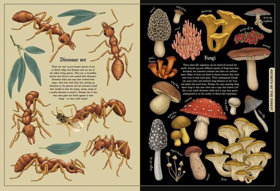 A ilustradora, designer e artista plástica Vasilisa Romanenko, radicada em Connecticut, translumbra o público com sua mistura única de inspiração botânica, história natural e padrões intrincados que lembram tecelagem. 