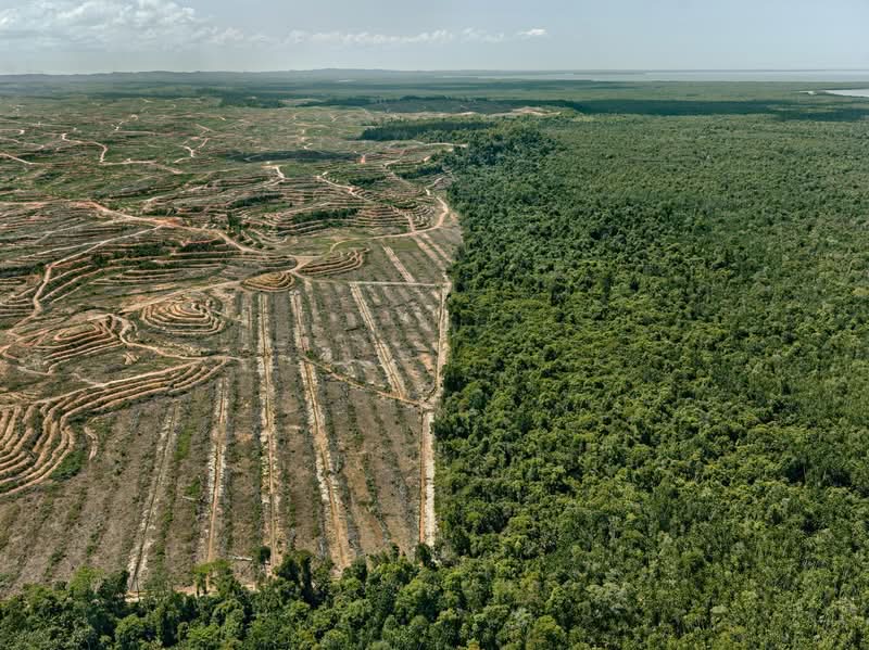 Edward Burtynsky é um fotógrafo conhecido por capturar as formas como os humanos impactaram a Terra e já publiquei seu trabalho por aqui algumas vezes. Seu principal projeto, Antropoceno, explora a nossa era e destaca os efeitos humanos no mundo, muitas vezes nocivos. Para designers, artistas e pensadores, o trabalho de Edward Burtynsky oferece um visual poderoso que revela a realidade de nossas ações e nos leva a refletir sobre o que criamos.