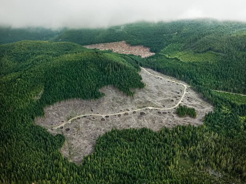 Edward Burtynsky é um fotógrafo conhecido por capturar as formas como os humanos impactaram a Terra e já publiquei seu trabalho por aqui algumas vezes. Seu principal projeto, Antropoceno, explora a nossa era e destaca os efeitos humanos no mundo, muitas vezes nocivos. Para designers, artistas e pensadores, o trabalho de Edward Burtynsky oferece um visual poderoso que revela a realidade de nossas ações e nos leva a refletir sobre o que criamos.