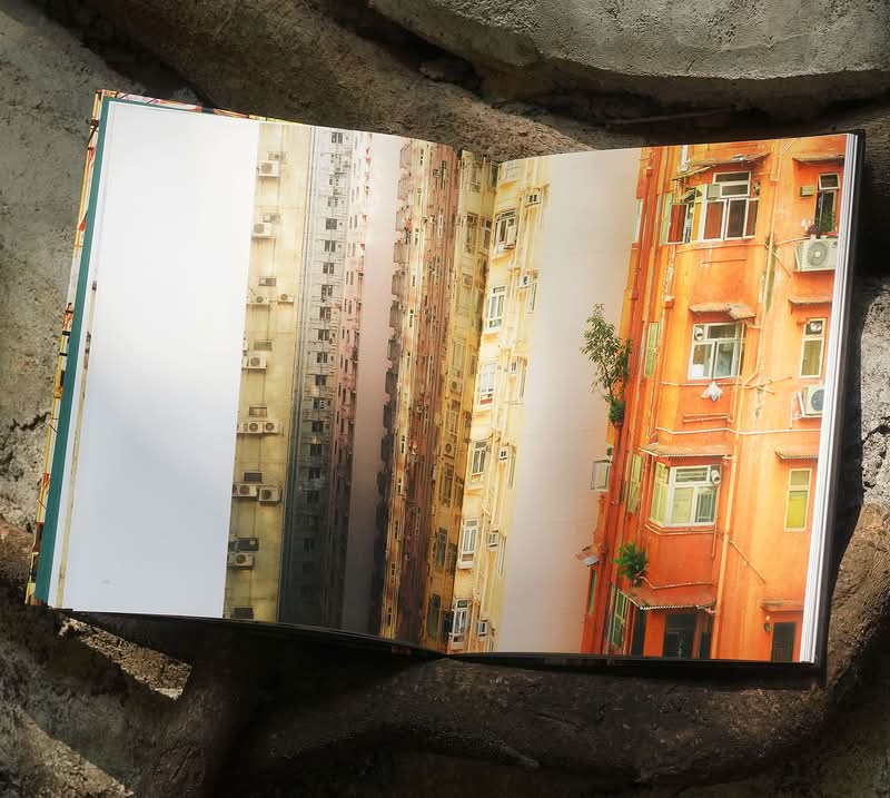 Echoing Above, obra de Romain Jacquet-Lagrèze, vai além de ser apenas uma reunião de imagens impressionantes; é um estudo visual meticulosamente planejado feito através de muitas fotos e anos. A série revela com maestria como árvores, homens e pássaros, cada um à sua maneira, demonstram incrível resiliência e capacidade de adaptação no ecossistema urbano único de Hong Kong. 