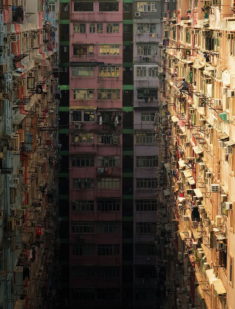 Echoing Above, obra de Romain Jacquet-Lagrèze, vai além de ser apenas uma reunião de imagens impressionantes; é um estudo visual meticulosamente planejado feito através de muitas fotos e anos. A série revela com maestria como árvores, homens e pássaros, cada um à sua maneira, demonstram incrível resiliência e capacidade de adaptação no ecossistema urbano único de Hong Kong. 