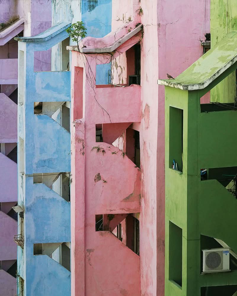 Echoing Above, obra de Romain Jacquet-Lagrèze, vai além de ser apenas uma reunião de imagens impressionantes; é um estudo visual meticulosamente planejado feito através de muitas fotos e anos. A série revela com maestria como árvores, homens e pássaros, cada um à sua maneira, demonstram incrível resiliência e capacidade de adaptação no ecossistema urbano único de Hong Kong. 