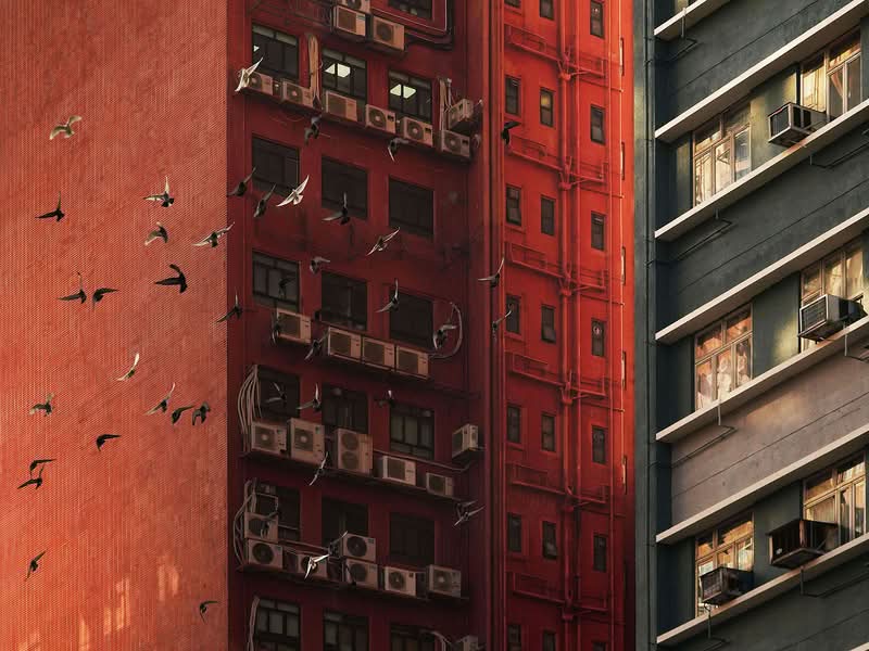 Echoing Above, obra de Romain Jacquet-Lagrèze, vai além de ser apenas uma reunião de imagens impressionantes; é um estudo visual meticulosamente planejado feito através de muitas fotos e anos. A série revela com maestria como árvores, homens e pássaros, cada um à sua maneira, demonstram incrível resiliência e capacidade de adaptação no ecossistema urbano único de Hong Kong. 