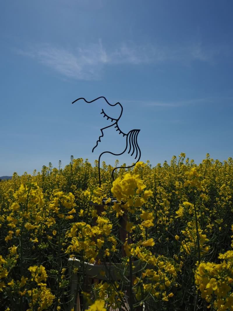 Diego Cabezas (nascido em 1975, A Coruña, Espanha) é um escultor espanhol conhecido por sua intrigante exploração da relação entre o desenho e o espaço tridimensional. Diego Cabezas, após aperfeiçoar suas competências na Escola de Arte Pablo Picasso, iniciou uma viagem artística que combina perfeitamente a instantaneidade de uma linha traçada com a persistência do ferro e do aço inoxidável.