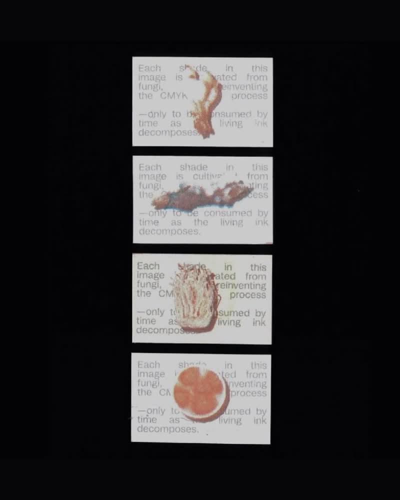 Em um mundo cada vez mais eco-consciente, frequentemente buscamos alternativas sustentáveis para os produtos que usamos no nosso dia a dia. Mas e quanto às coisas que usamos sem pensar duas vezes, como a tinta de impressão? É aqui que a Growink, uma biotinta desenvolvida pelo designer de inovação em materiais Peerasin Punxh Hutapheat, entra em cena.