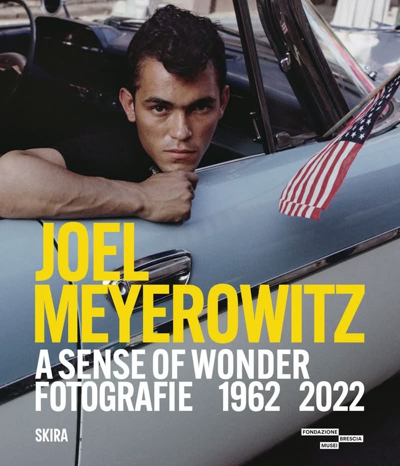 No mundo da fotografia, poucos nomes carregam o peso e a influência de Joel Meyerowitz. Sua carreira prolífica, com mais de seis décadas, é um estudo sobre a evolução criativa e uma profunda dedicação à arte de ver o mundo. 