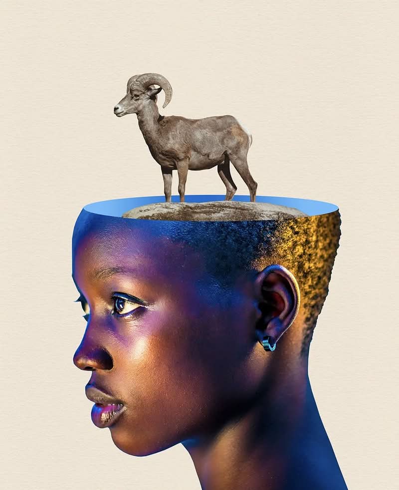 Em nossa era dominada pelas mídias sociais, a palavra “colagem” frequentemente evoca um rápido agrupamento digital de fotos — alguns toques na tela e o trabalho está feito. Mas não é sempre que essa é a realidade por trás das imagens que vemos por aí. Segundo o artista britânico Adam Hale, a colagem é um método meticuloso, físico e incrivelmente singular para contar histórias. 