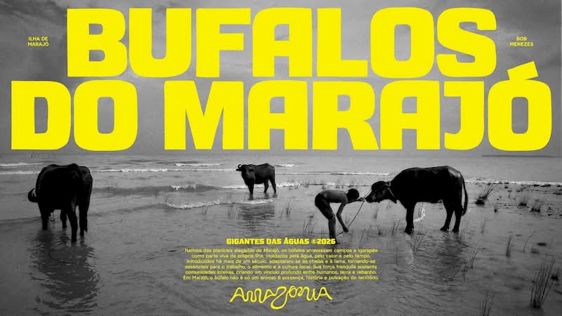 Além de todo o trabalho de design aqui, um outro elemento desse projeto que achei bem interessante é a forma com a qual a FutureBrand resolveu oferecer uma certa utilidade à população local. E isso vem por meio de uma ferramenta promocional para ajudar além do turismo, e sim como um catalisador para o crescimento econômico.