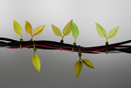 Leaf Tie é uma presilha de plástico criada pelo Lufdesign. De uma beleza e simplicidade singular, eu ficaria feliz de trocar todas as que eu tenho em casa por umas dessas.