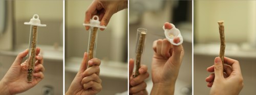 Miswak é um galho usado para a higiene bucal no Oriente Médio e em partes do Paquistão e Índia. Você morde a parte superior do galho e expõe a parte macia da madeira, de forma bem similar a uma escova de dentes. Mas, você escovaria os dentes com isso?