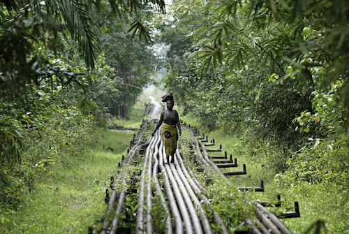George Osodi é um fotógrafo nigeriano que retrata muito bem a realidade daquele pais. É até um pouco estranho observar suas fotos e seu portfólio e perceber que nunca vimos aquilo antes, apesar de tudo.