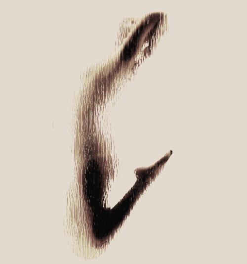 Naked Silhouette Alphabet, que pode ser traduzido como o alfabeto de silhuetas nuas, é um projeto que mistura tipografia e fotografia e foi criado pela designer grega Anastasia Mastrakouli.