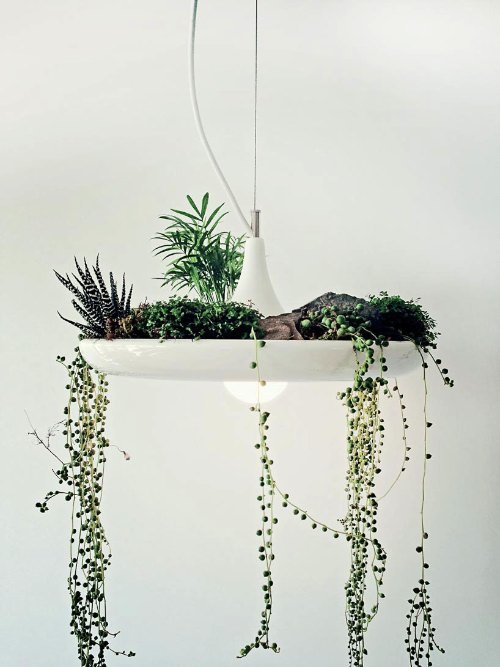 babylon suspended garden light fixture by studio O:I_01