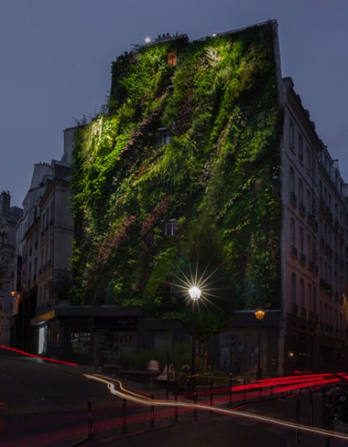 L'Oasis D'Aboukir Green Wall in Paris_00