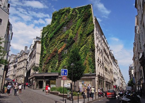 L'Oasis D'Aboukir Green Wall in Paris_01
