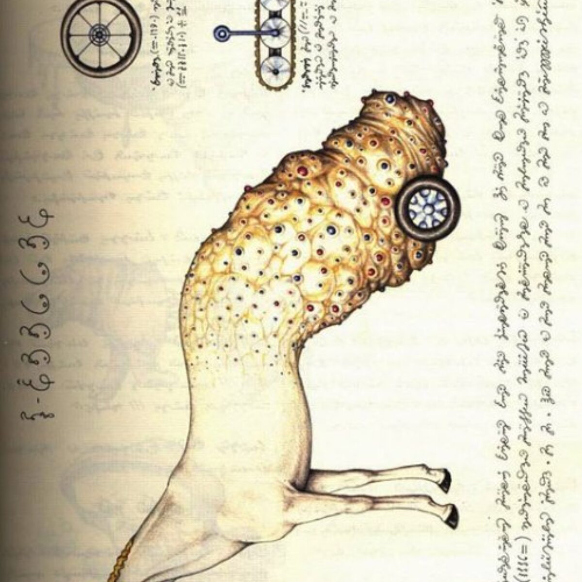 Codex Seraphinianus // Pristina.org