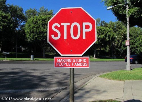 Stop Making Stupid People Famous_05