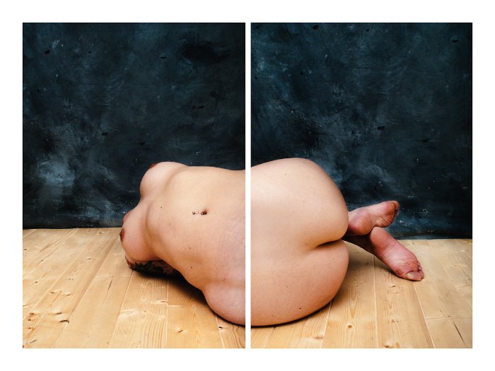 William Farges é um fotógrafo francês que resolveu criar uma forma diferente de fotografar nus. Nessa sua busca por experimentação, ele chegou nessa série Chiméres.