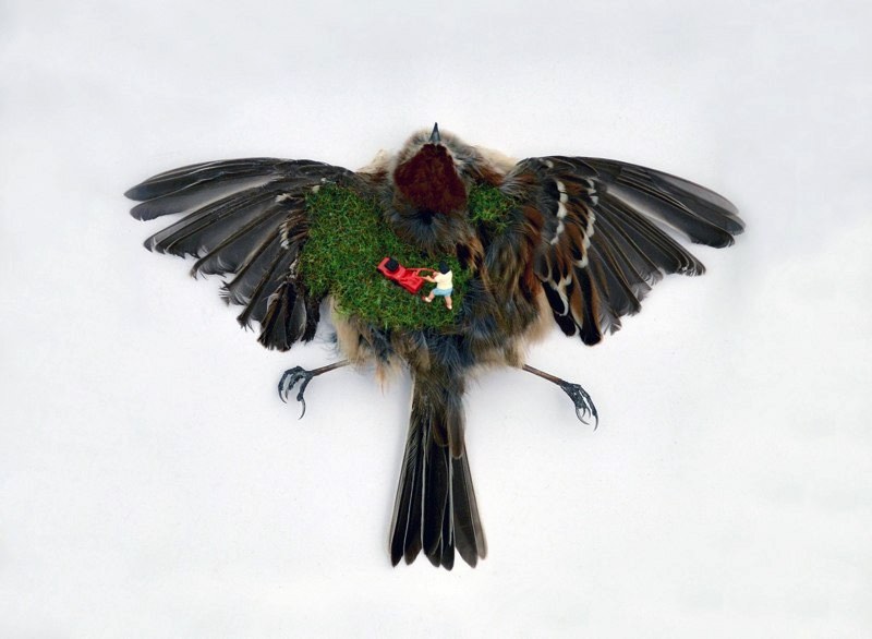 A artista canadense Jesse Bromm cria estranhas e subversivas paisagens em miniatura que usam uma combinação de pedaços de animais, vidro e objetos que ela encontra por ai. Através da mistura desses elementos, ela tenta criar um diálogo entre como vemos a realidade e o que realmente existe por trás de tudo isso.