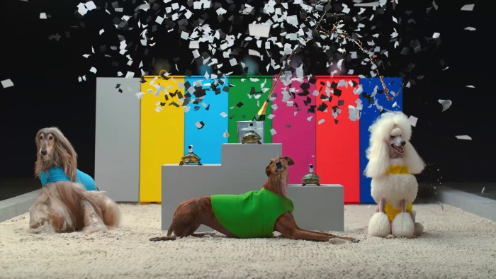 A dupla de diretores holandeses conhecidos como Lernert and Sander sabe como transformar tecnologia em algo interessante. No caso da nova Sony Action Cam, eles fizeram isso ao prender algumas câmeras em tartarugas que filmaram alguns cachorros correndo. Faz sentido? Não sei mas sei que gostei muito do vídeo que você pode ver logo abaixo.