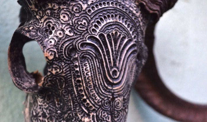 Jason Borders é um artista americano baseado em Portland cujo trabalho é feito usando carcaças de animais e usando de seus ossos como obras de arte.