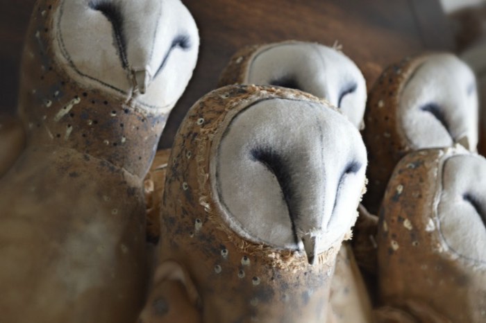 O trabalho de Mister Finch é meio complicado de categorizar. Isso acontece por que o que ele faz fica entre a escultura, a criação de animais de pelúcia e a costura. Afinal, ele cria grandes criaturas que parecem ter saído de livros de contos de fadas.