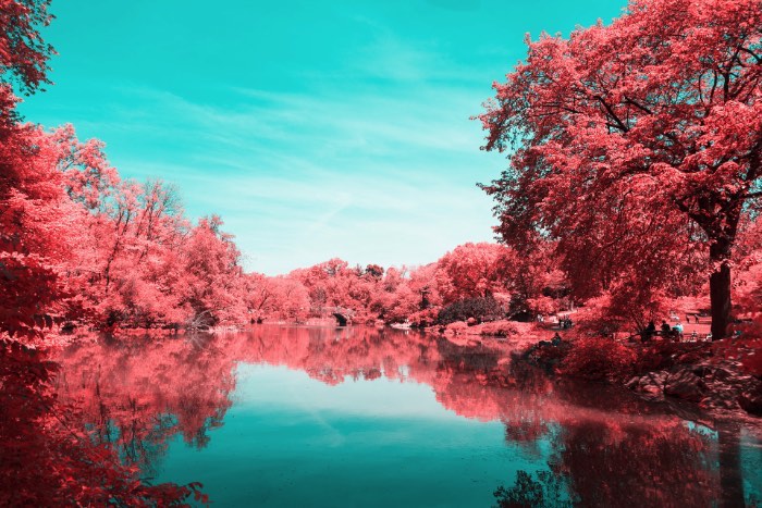 Foi isso que Paolo Pettigiani fez nesse série de fotografias do Central Park em Nova Iorque. Ele usou de um filtro especial na frente das suas lentes para bloquear a luz visível e deixar apenas os outros espectros de luz visíveis. Dessa forma, as fotos que ele fez desse parque acabam mostrando plantas de um jeito bem estranho mas, o resto da paisagem, continua da mesma forma. Tijolos, água, asfalto e outras superfícies continuam iguais e todas as plantas estão vermelhas. Algo bem onírico, no meu ponto de vista.