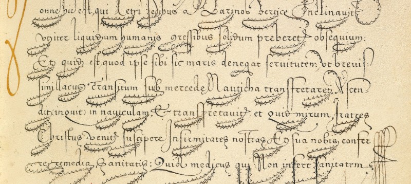 Mira Calligraphiae Monumenta é o resultado de décadas de trabalho de caligrafia entre o mestre escriba chamado Georg Bocksay, nascido no que hoje seria a Croácia, e o artista flamenco Joris Hoefnagel. Tudo começou em cerca de 1560, quando Georg Bocksay era o secretário do Imperador do Sagrado Império Romando, Ferdinando I. O mestre escriba resolvei produzir um catálogo que mostrasse todos os diferentes estilos caligráficos que ele poderia utilizar no seu trabalho. Dessa forma, ele poderia apresentar um portfólio da sua caligrafia que mostrasse seu repertório para quem interessasse no que ele fazia.