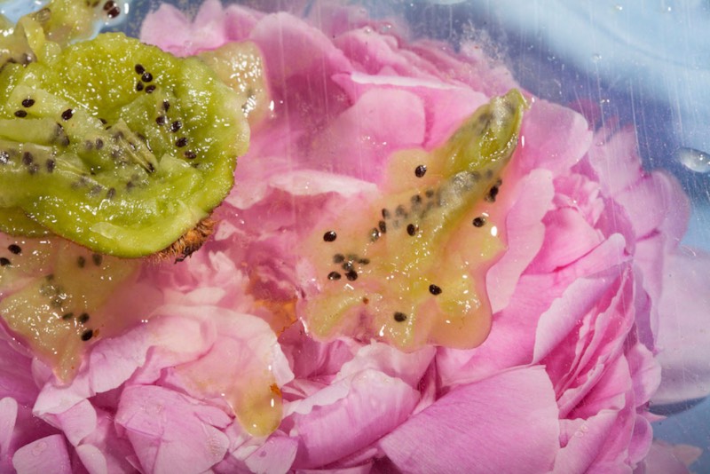 Maisie Cousins é uma fotógrafa nada convencional que rejeita os ideais de beleza e estética de hoje em dia. Nas suas fotografias, ela reverte a estética tradicional da nudez, da feminilidade e da natureza e cria algo novo. Normalmente, experimentando com uma provocação dos sensos através das imagens que ela captura.
