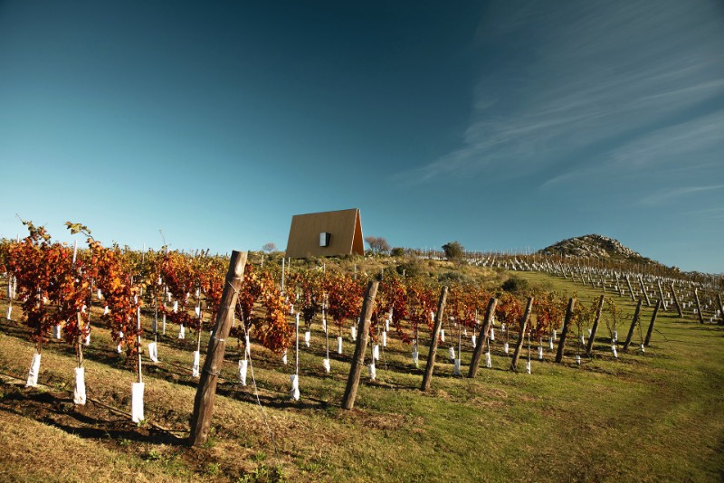 A Capela Sacromonte é uma construção religionsa simples mas bem criativa, localizada no meio de um vinhedo no Uruguai. Esse santuário religioso foi projetado pelo brasileiros e uruguaios do estúdio de arquitetura conhecido como Mapa e você vai poder ver belíssimas fotos do local logo abaixo.