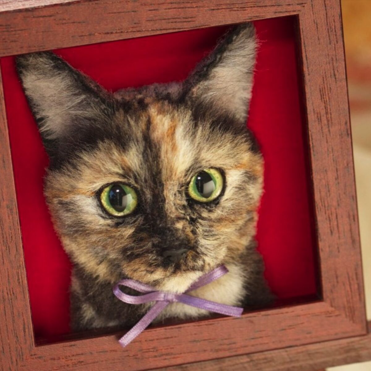 Artista japonesa faz retratos de gatos realistas em 3D, Comportamento