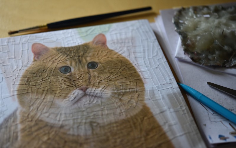 Depois de trabalhar com alguns retratos de Charlie, o gato que mora no estúdio onde Lola Dupre trabalha, a artista resolveu criar uma série de colagens que explorasse o visual e a estética de alguns animais domésticos. Foi assim que começou esse projeto repleto de imagens de gatos e cachorros lisérgicos feitos através de complexas colagens.