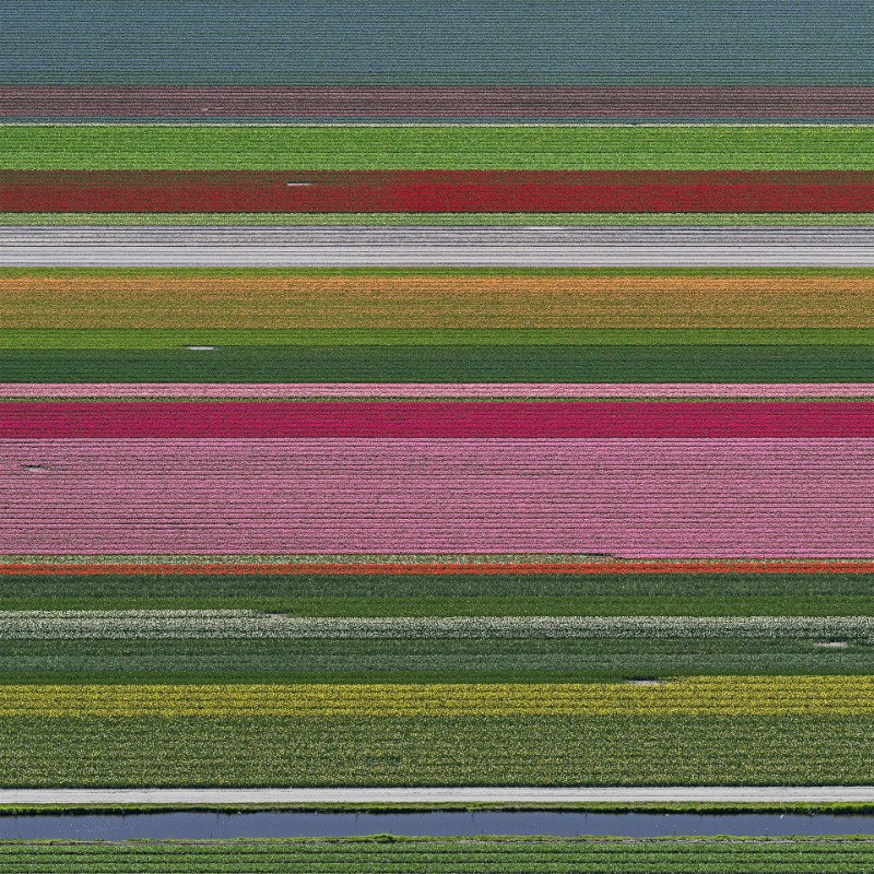 Os campos de tulipas da Holanda nunca apareceram tão bonitos quanto nas fotos aéreas de Bernhard Lang. Elas acabam se tornando uma espécie de antídoto visual as pinturas de Monet e as flores pintadas por Van Gogh. As fotografias aqui mostram um mundo diferente, algo mais geométrico que lembram mais as imagens criadas por Piet Mondrian.