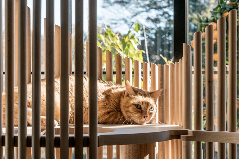 Se você é fã de gatos mas não quer colocar uma cat tree no meio da sua sala que tenha um visual estranho, esse artigo aqui é para você. Afinal, o trabalho do designer Yoh Komiyama em colaboração com o estúdio japonês Rinn criou o NEKO Cat Tree que é, facilmente, a árvore de gatos mais bonita que eu já vi na vida.