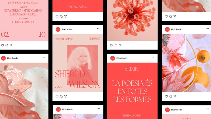 Elixir é o nome do primeiro festival de poesia gratuito lá da Catalunha. O evento vai acontecer no final de Setembro de 2020 e o início de Outubro de 2020 com diferentes atividades em torno da poesia, com artistas emergentes e outros conhecidos internacionalmente. Lá, os eventos serão divididos entre música, recitais, espetáculos, mercados.