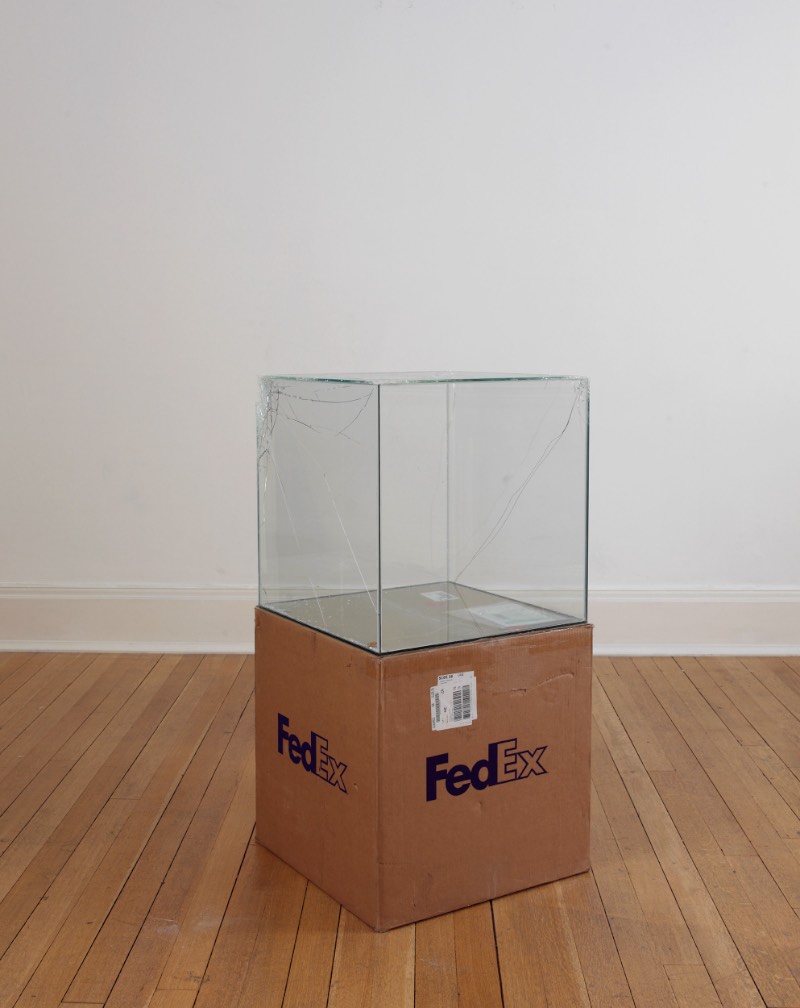 Foi em 2007 que o artista Walead Beshty começou a usar da infraestrutura de entregas da FedEx para criar uma série de obras de arte inusitadas. Para isso, ele constrói objetos de vidro que cabem perfeitamente nas caixas de remessa da FedEx e, depois, ele envia essas caixas sem qualquer proteção para museus e galerias de arte onde elas serão expostas.