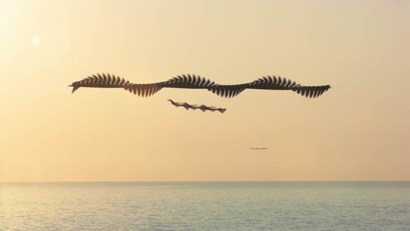 Através de vários anos de fotografia, Xavi Bou tem usado de suas câmeras para documentar através de longas exposições, toda a beleza dos padrões de voos dos pássaros. Esse projeto recebeu o nome de Ornitographies e é lá que você verá as imagens abstratas que são criadas pelos pássaros.