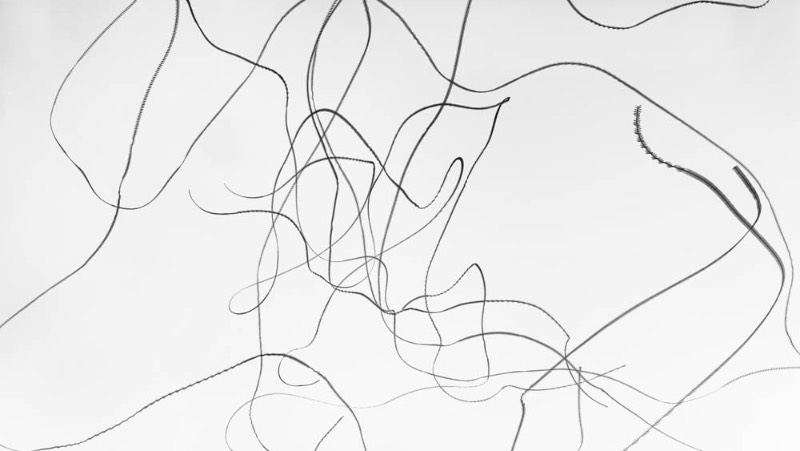 Através de vários anos de fotografia, Xavi Bou tem usado de suas câmeras para documentar através de longas exposições, toda a beleza dos padrões de voos dos pássaros. Esse projeto recebeu o nome de Ornitographies e é lá que você verá as imagens abstratas que são criadas pelos pássaros.