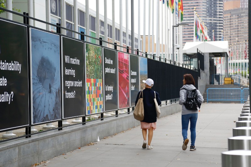 Countryside at the United Nations é uma exposição temporária acessível ao público curada pelo pessoal da AMO, o braço de publicação e pesquisa da OMA. Essa exposição consiste em uma série de painéis que apresentam questões e imagens que ilustram algumas das transformações rurais mais importantes da atualidade.