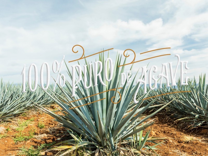 As embalagens das Tequilas Técnico e Rudo tem seu design inspirado nas lucha libre, aquela forma bem particular de luta livre que existe no México. O design dessas embalagens ficou nas mãos do design Anton Burmistrov e, nesse trabalho, dá para ver como ele usou do seu amor pela cultura do México para criar algo visualmente especial.