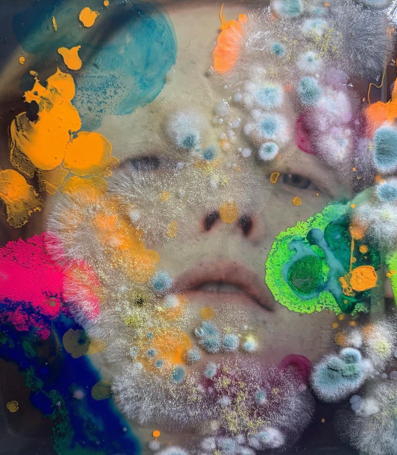 As imagens que você vai ver aqui não vem de distantes planetas e nem são renderizações digitais criadas de forma criativa. Elas são parte do trabalho de microbiologia de Dasha Plesen e ela usa alimentos, tintas, pigmentos e culturas de fungos e bactérias para criar o que você vai poder ver aqui.