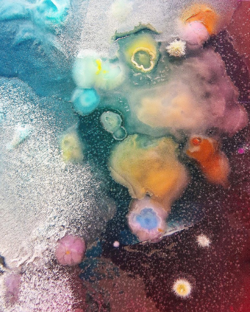As imagens que você vai ver aqui não vem de distantes planetas e nem são renderizações digitais criadas de forma criativa. Elas são parte do trabalho de microbiologia de Dasha Plesen e ela usa alimentos, tintas, pigmentos e culturas de fungos e bactérias para criar o que você vai poder ver aqui.