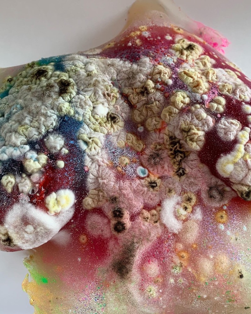 As imagens que você vai ver aqui não vem de distantes planetas e nem são renderizações digitais criadas de forma criativa. Elas são parte do trabalho de microbiologia de Dasha Plesen e ela usa alimentos, tintas, pigmentos e culturas de fungos e bactérias para criar o que você vai poder ver aqui.