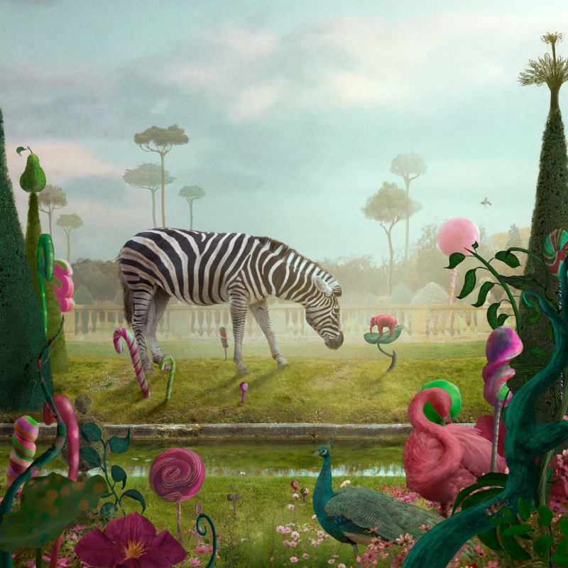 Usando de elementos alegóricos, Nikolina Petolas apresenta suas visões misteriosas através de imagens que parecem guiar o espectador por paisagens oníricas e cenários de fantasia. É assim que a artista visual croata trabalha com sua arte.