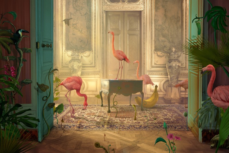 Usando de elementos alegóricos, Nikolina Petolas apresenta suas visões misteriosas através de imagens que parecem guiar o espectador por paisagens oníricas e cenários de fantasia. É assim que a artista visual croata trabalha com sua arte.