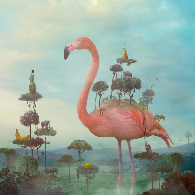 Usando de elementos alegóricos, Nikolina Petolas apresenta suas visões misteriosas através de imagens que parecem guiar o espectador por paisagens oníricas e cenários de fantasia. É assim que a artista visual croata trabalha com sua arte.