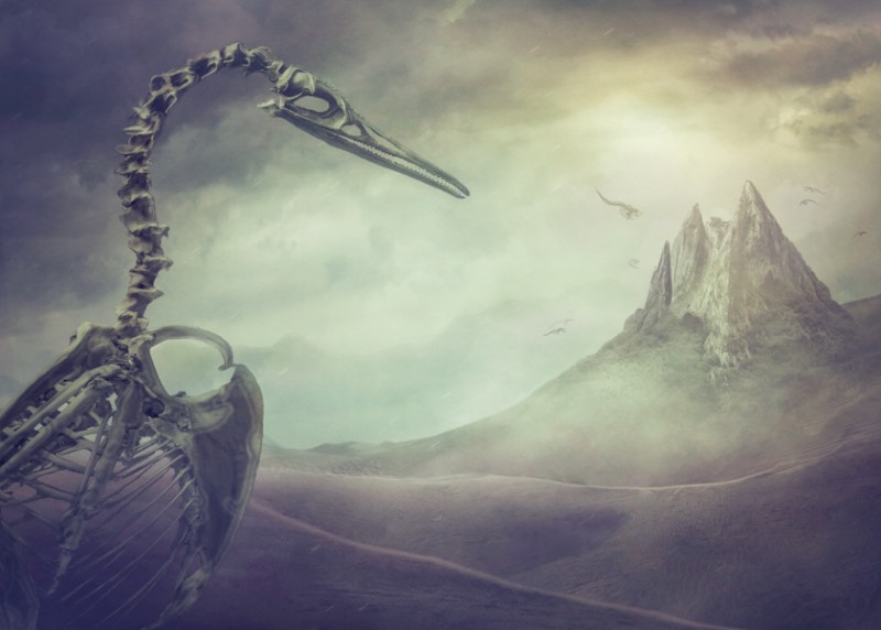 Usando de elementos alegóricos, Nikolina Petolas apresenta suas visões misteriosas através de imagens que parecem guiar o espectador por paisagens oníricas e cenários de fantasia. É assim que a artista visual croata trabalha com sua arte.