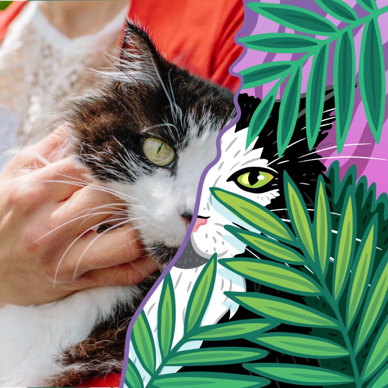 Annika Brandow é uma ilustradora e designer freelancer. Originalmente da Cidade do Cabo, na África do Sul, ela hoje vive aqui em Berlim. Ela já trabalha como freelancer há mais de oito anos e adora criar ilustrações divertidas e coloridas.